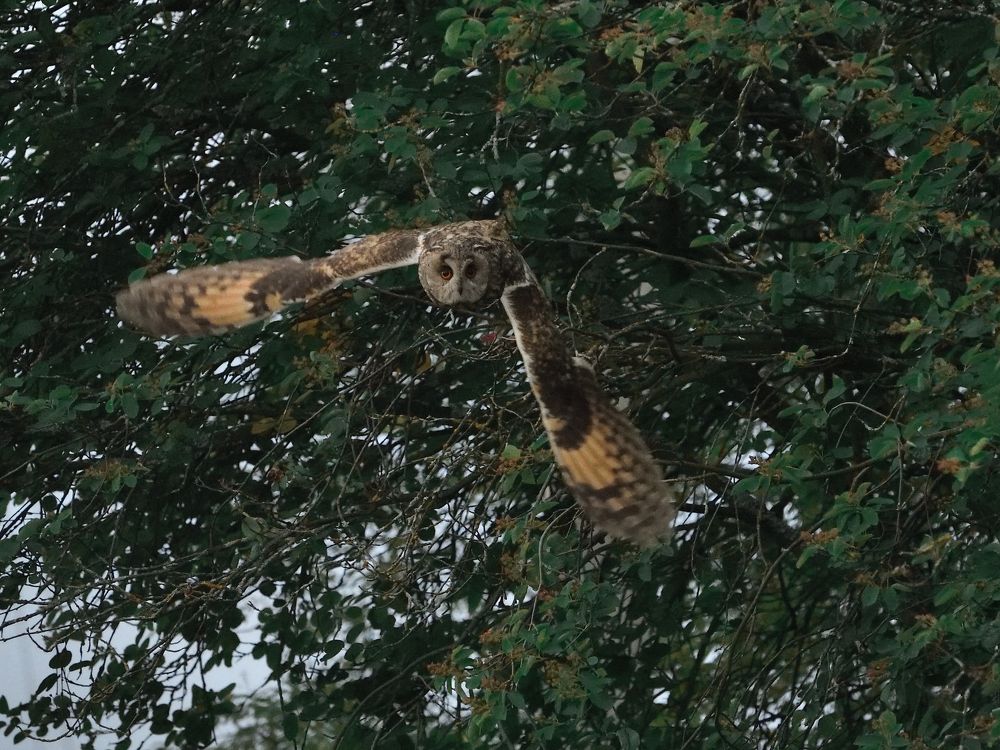 Photograph by Семен Батов