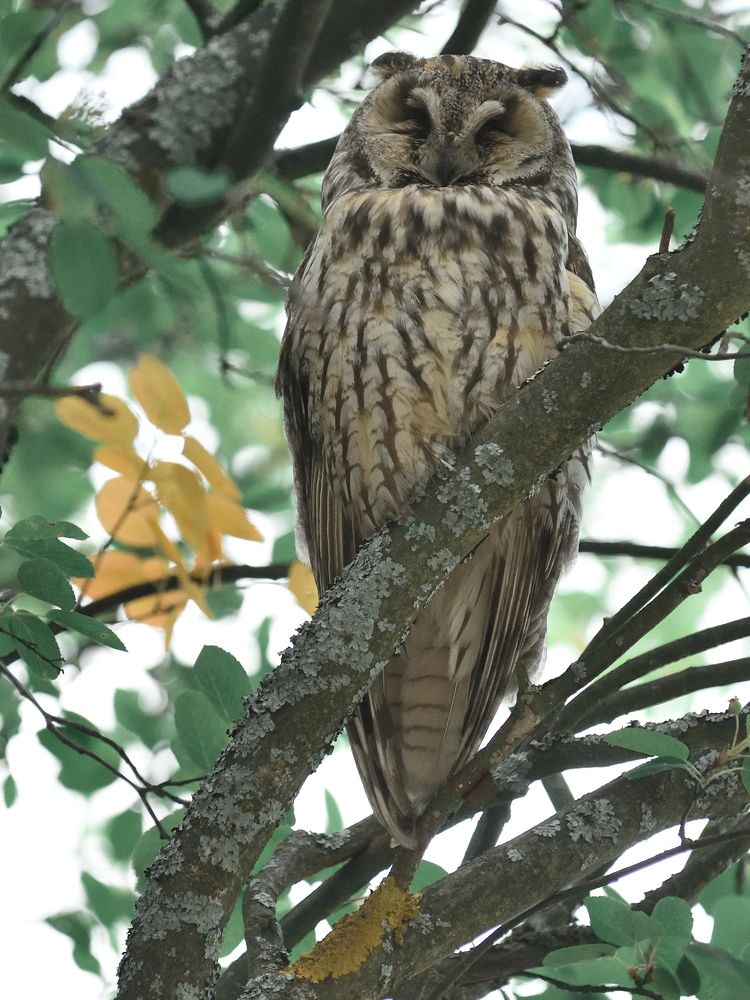 Photograph by Семен Батов