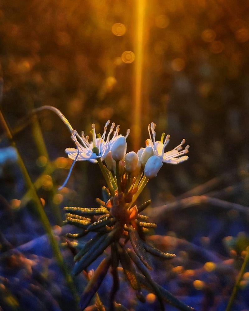 Север во всей красе
