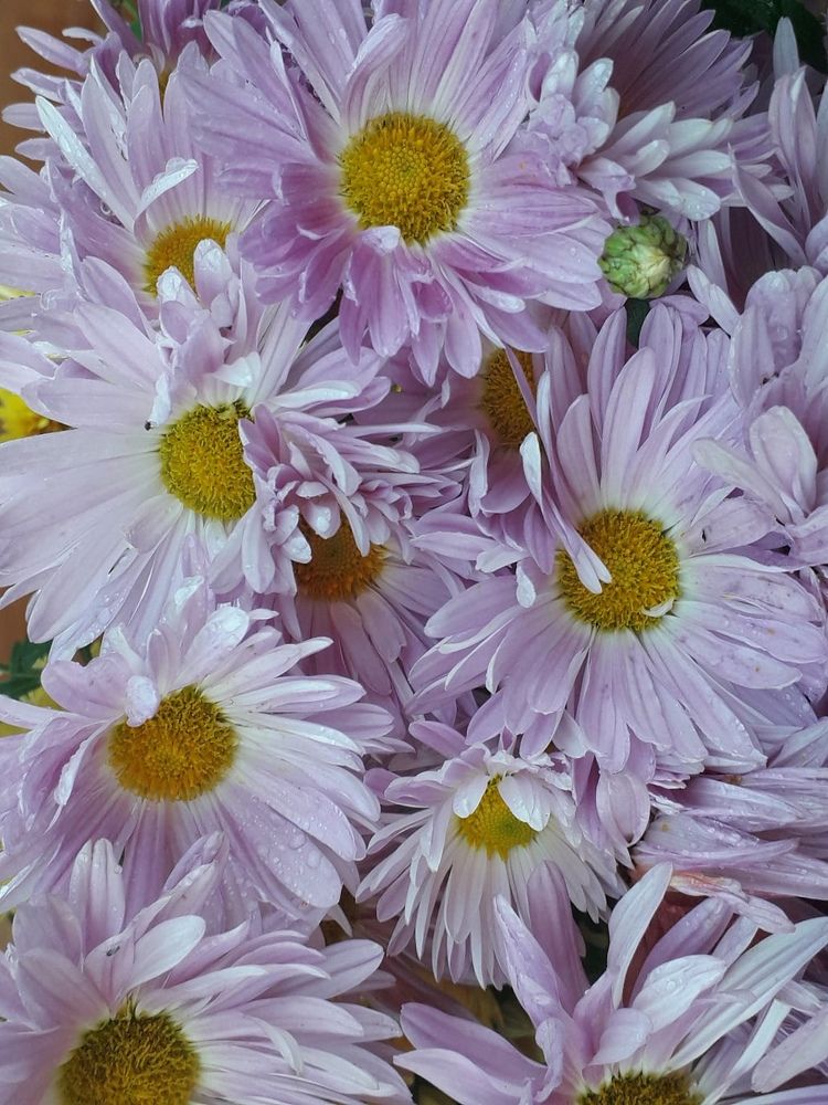 Photograph by Алиса Фокина
