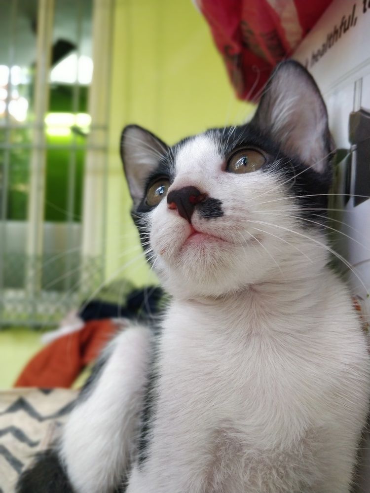 Photograph by Nikhil Gaikwad