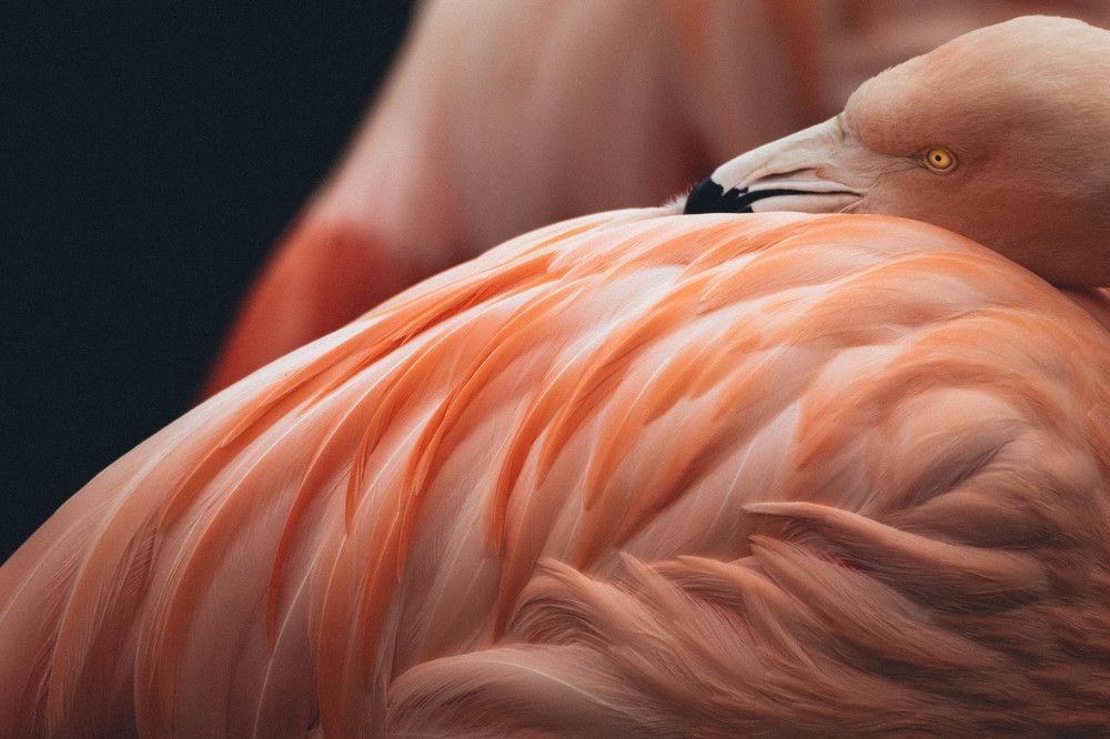 Photograph by Karolina Sadłakowska