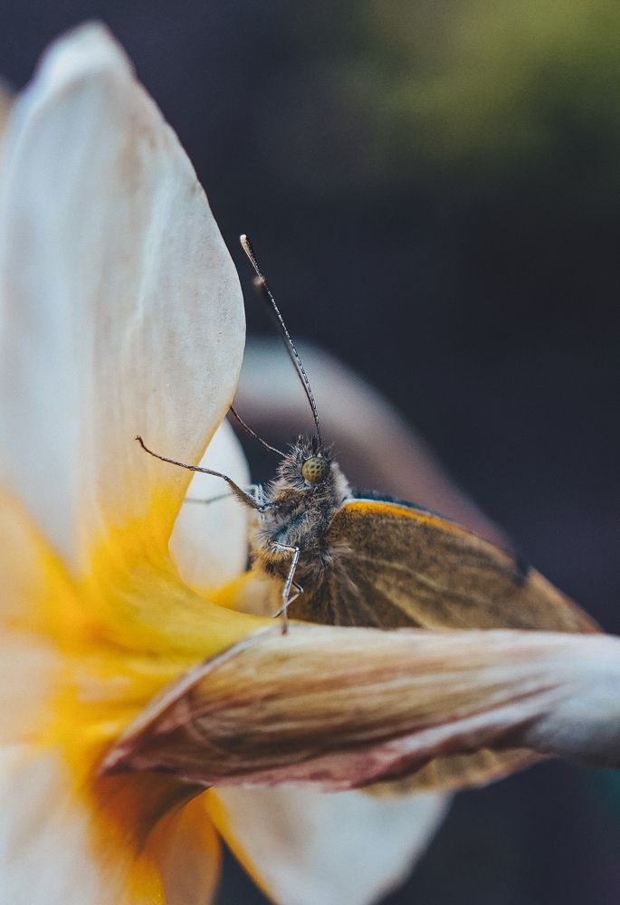 Photograph by Арина Стрябчева