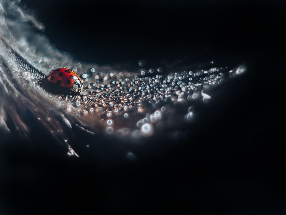 Photograph by Ольга Мурзина