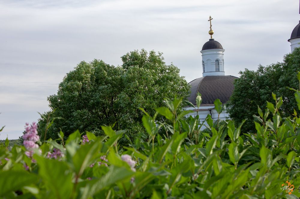 Photograph by Татьяна Казакова