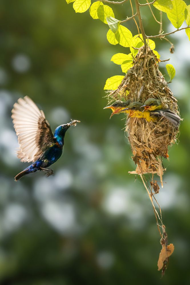 Photograph by Ko Lay Me Me