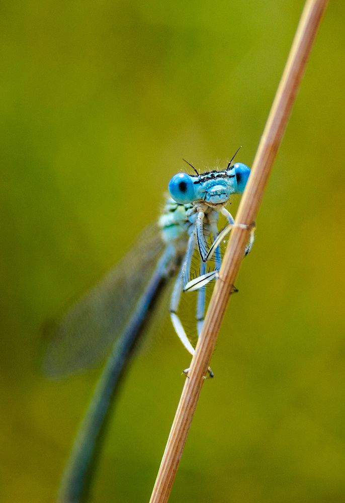 Стрелка изящная...