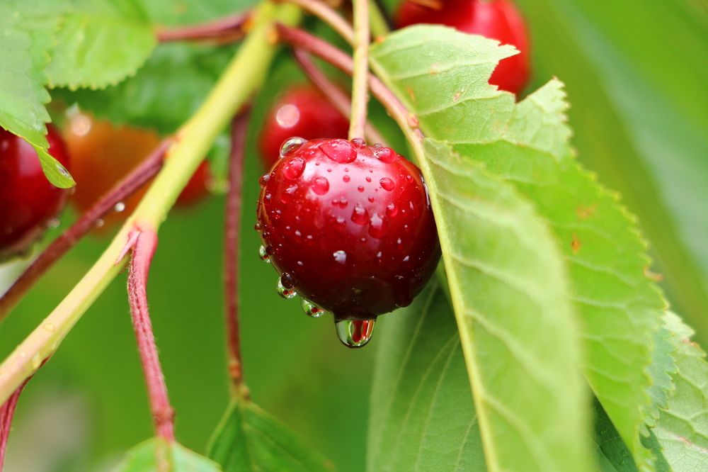 Photograph by Cengiz Yalcin