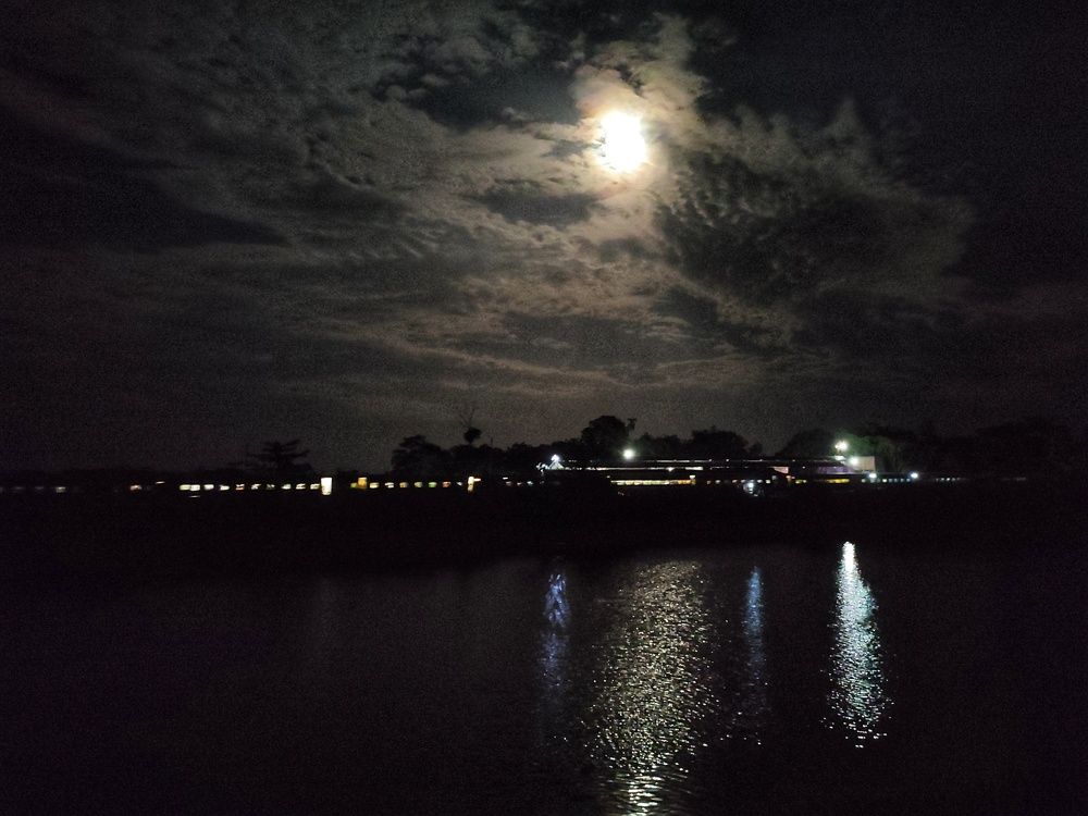 Photograph by Md. Ashraful Islam