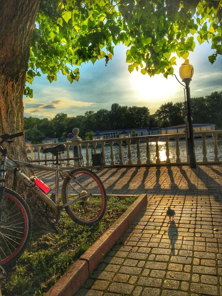 Photograph by Ольга Глушкова