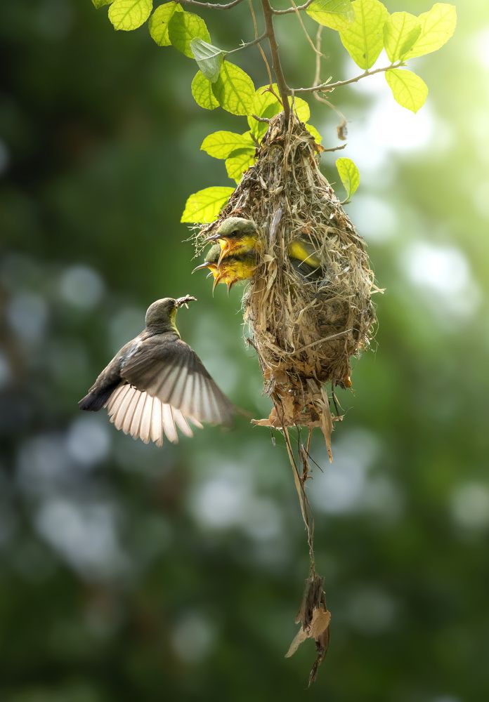 Photograph by Mg Zaw Soe Mg