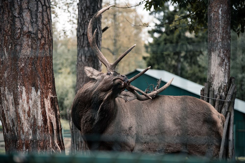 Фотография автора Дмитрий Войнов
