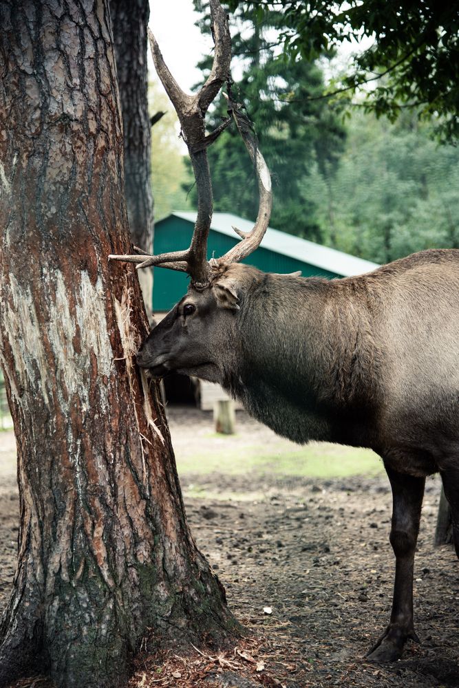 Фотография автора Дмитрий Войнов