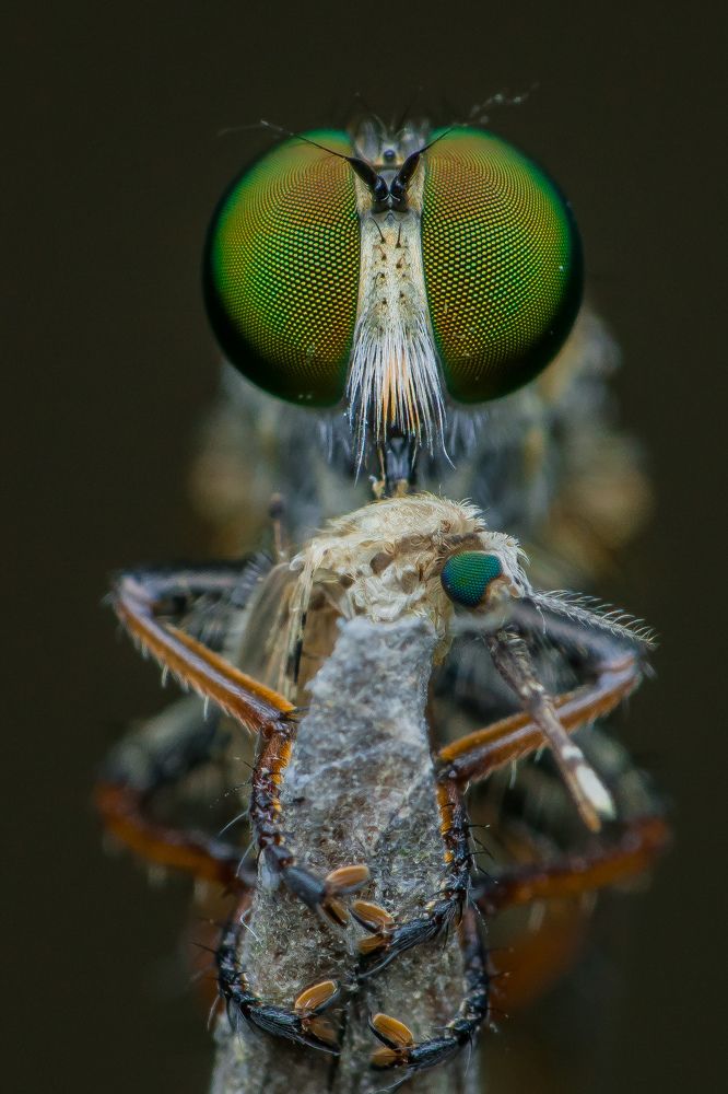 Photograph by Tanmay Sarkar