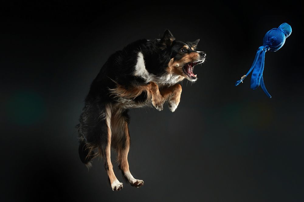 Photograph by Лана Полякова