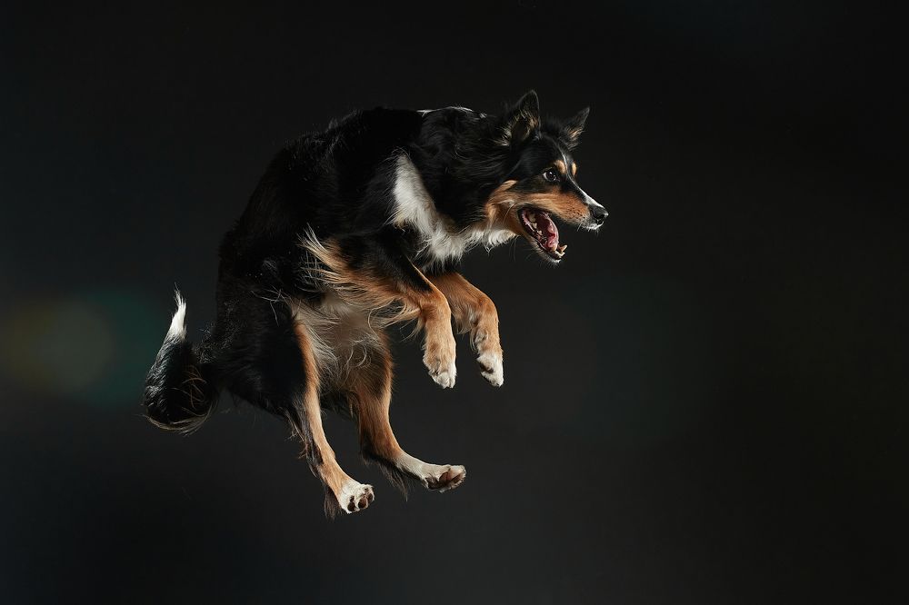 Photograph by Лана Полякова