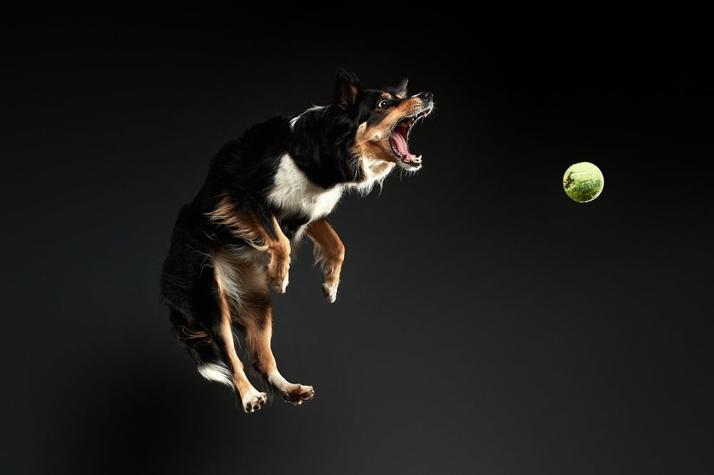 Photograph by Лана Полякова