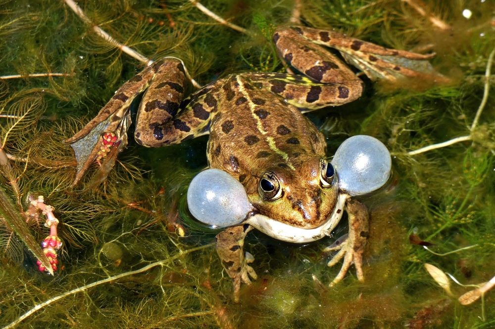 Photograph by backareva irina