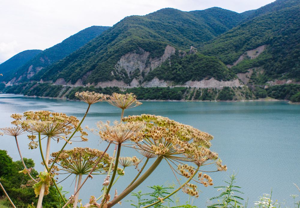 Photograph by Gawdat Deena