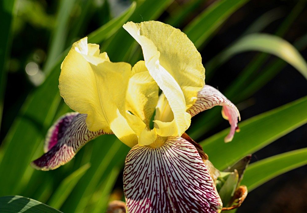 Photograph by Алексей Епишин