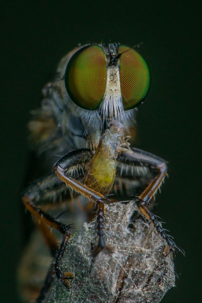 Photograph by Tanmay Sarkar