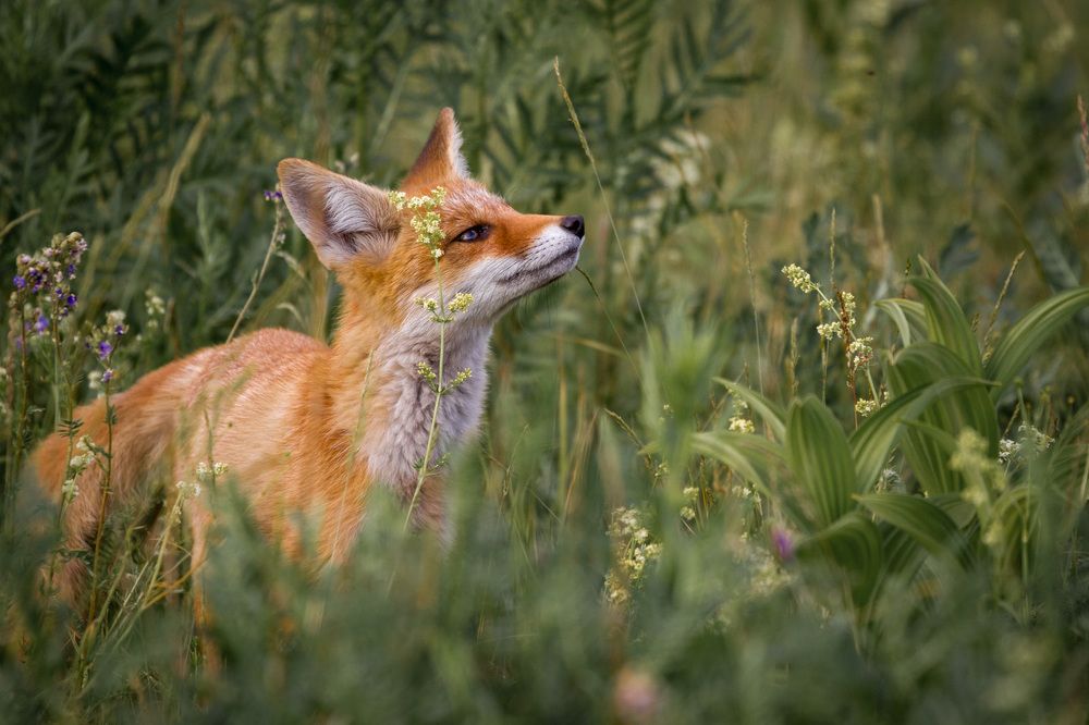 Photograph by Артем