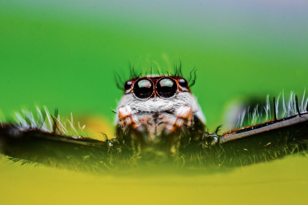 Photograph by Rohit Rajak