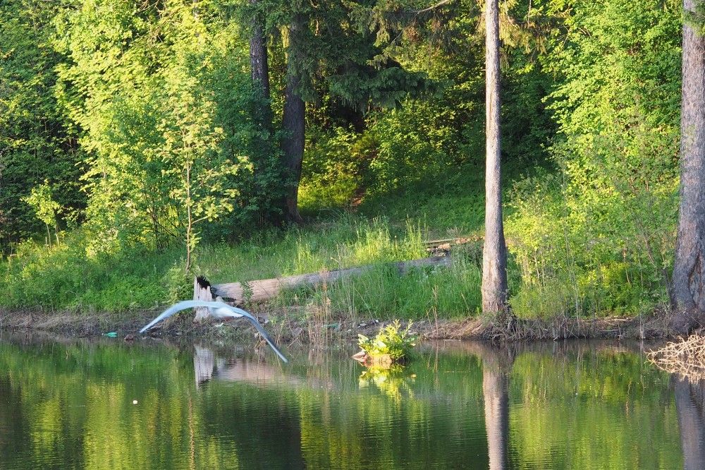 Photograph by Михаил Костыря