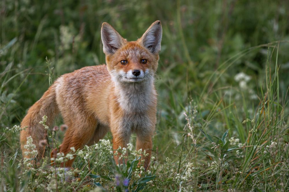 Photograph by Артем