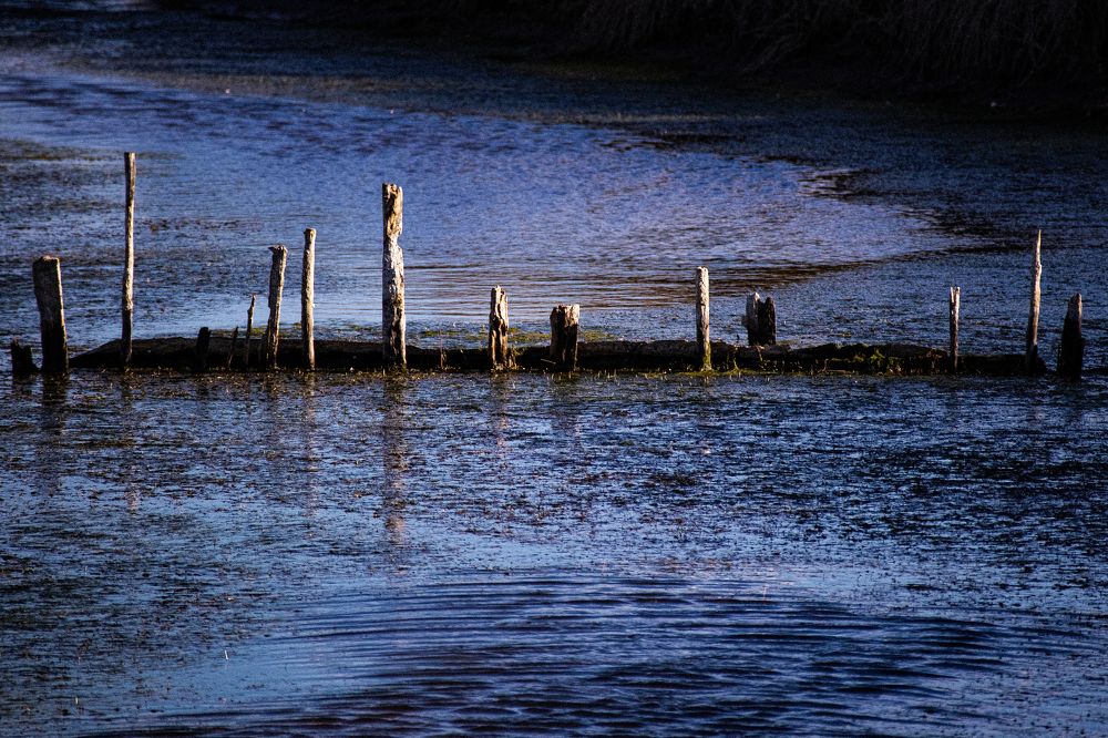 Photograph by Delfina Paulo