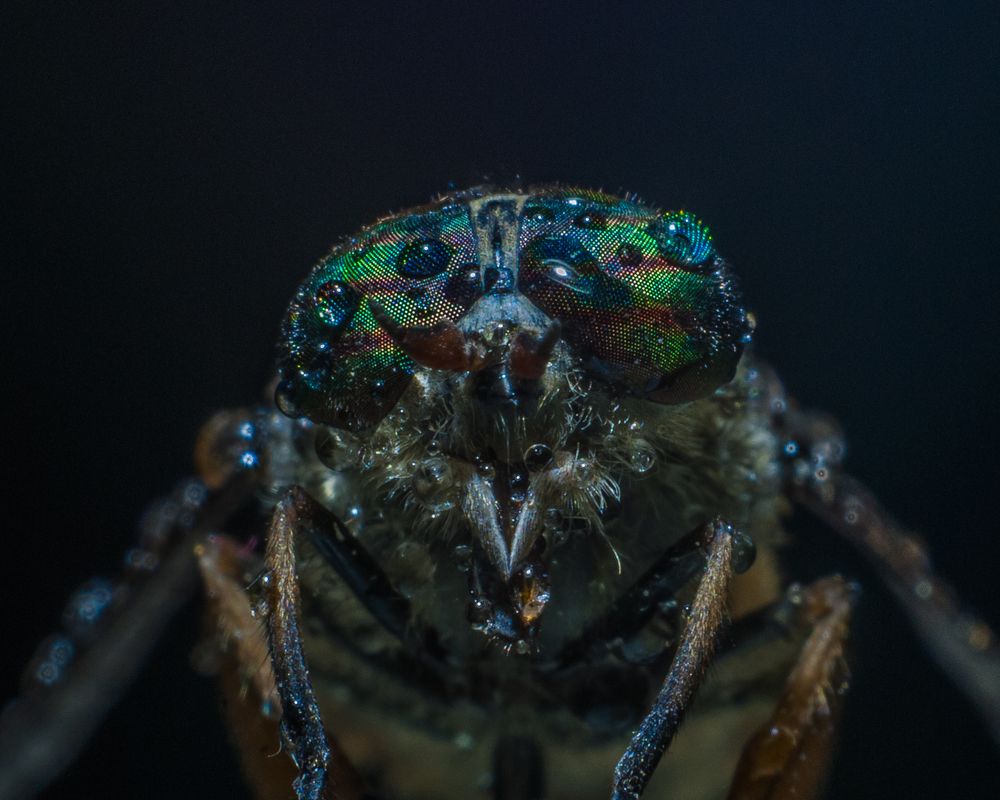 Photograph by Динара Зуйкова