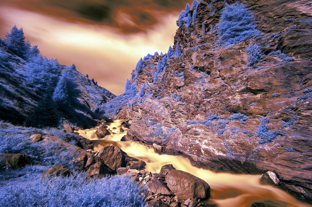 Photograph by Simone Zeffiro