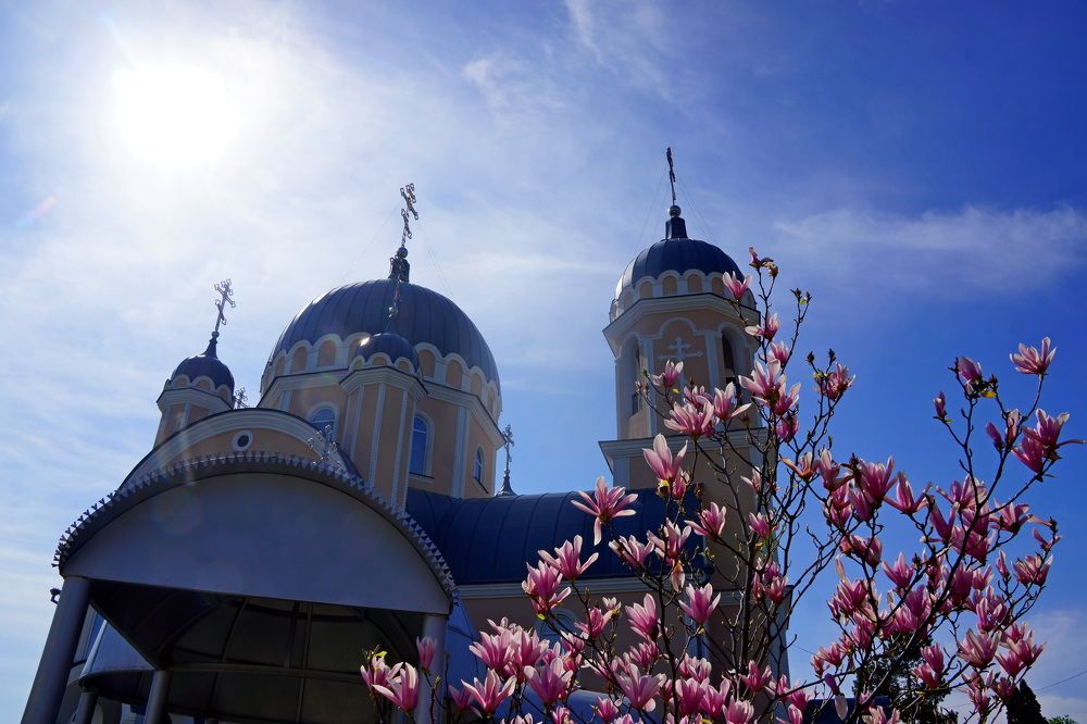 Фотография автора Дмитрий Градинар
