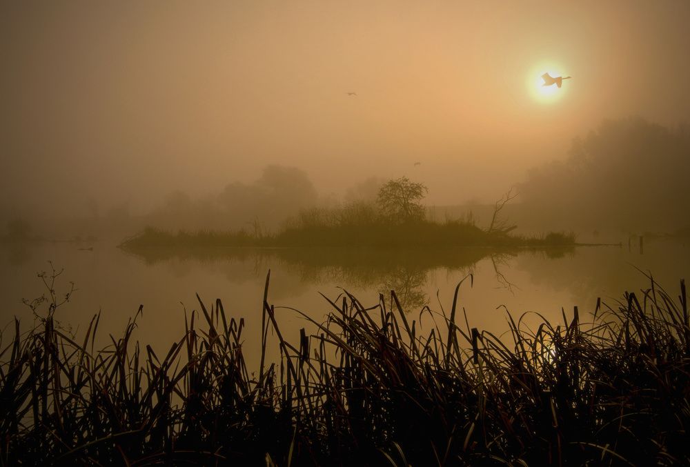 Photograph by Milan Uhrin