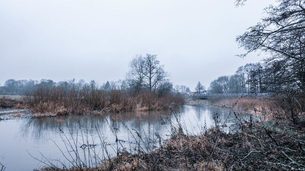 Фотография автора Александр Буренко
