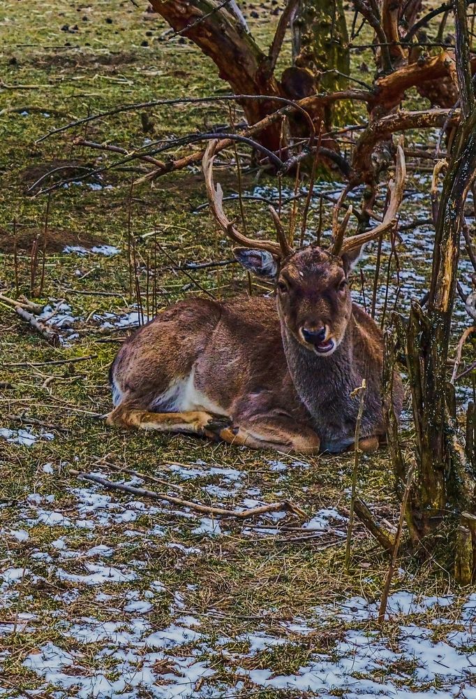Photograph by Jozef Potocký