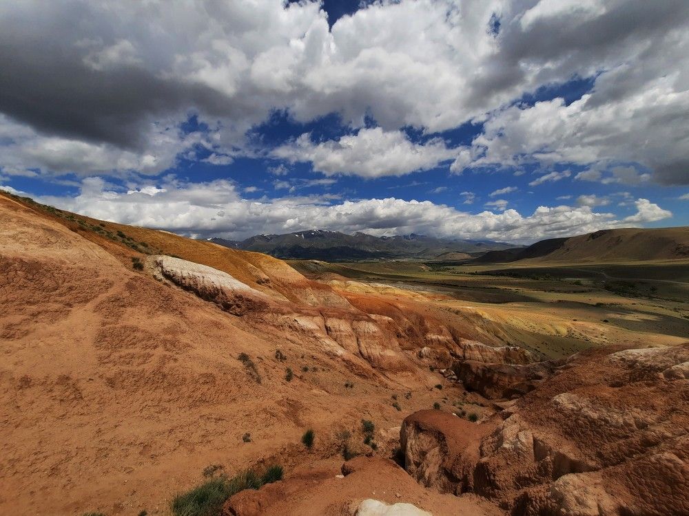 Фотография автора Елена Пикатова