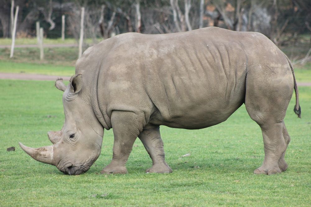 Photograph by Shrinivas Kulkarni