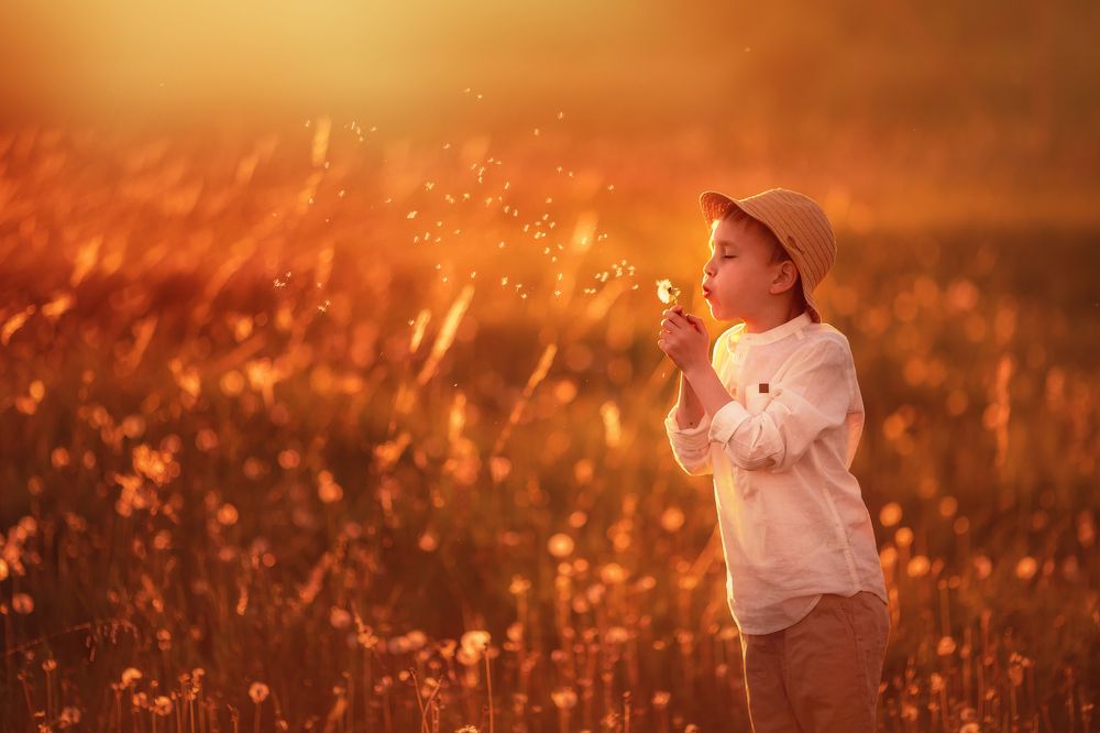 Photograph by Мила Дементьева