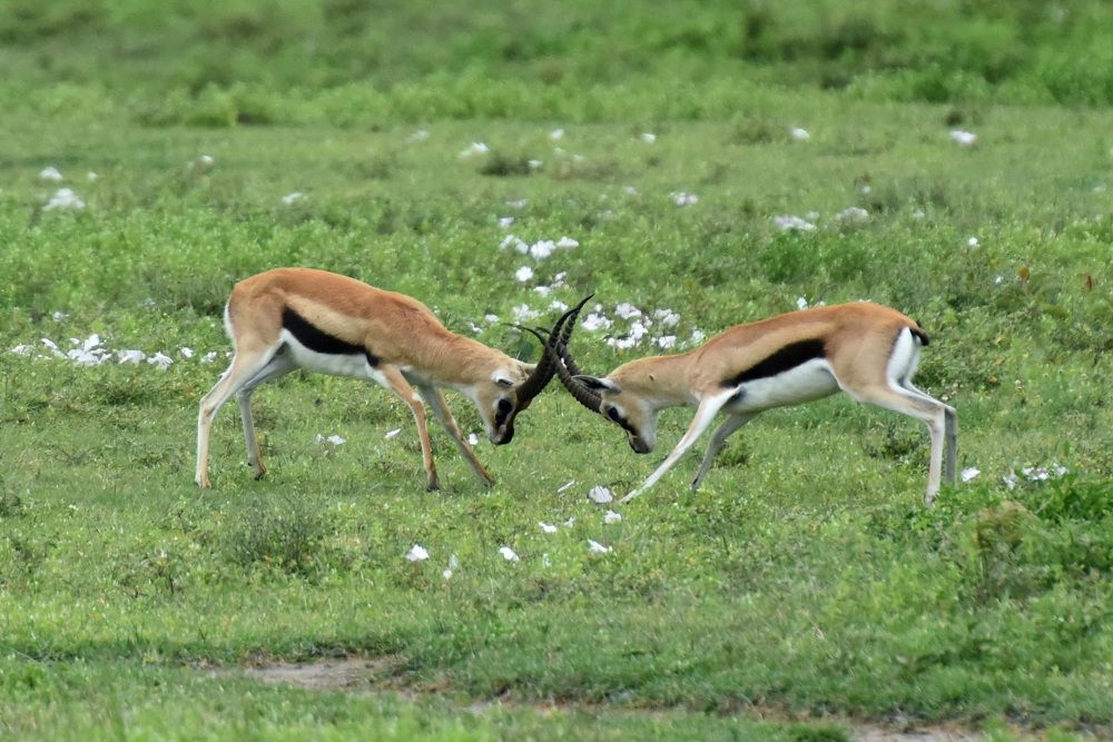 Photograph by Наталья Ляшенко