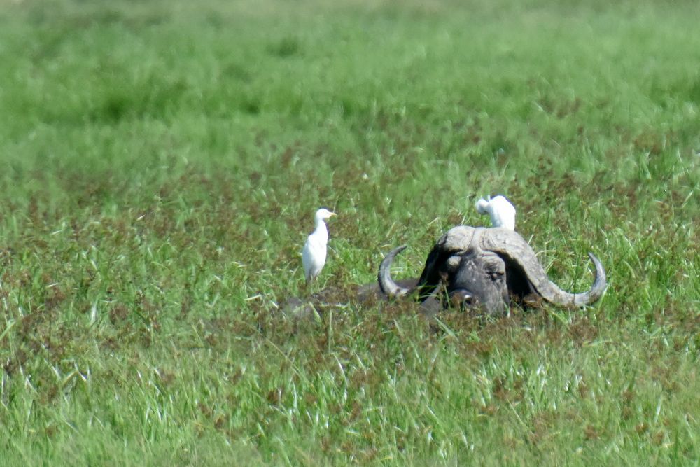 Photograph by Наталья Ляшенко