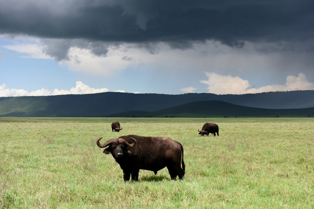 Photograph by Наталья Ляшенко