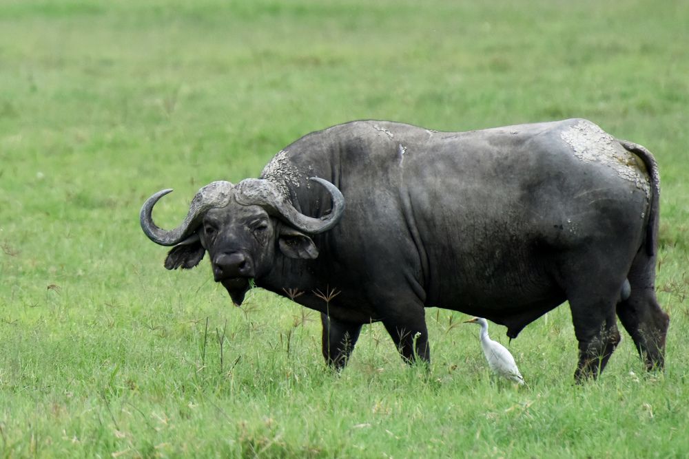 Photograph by Наталья Ляшенко