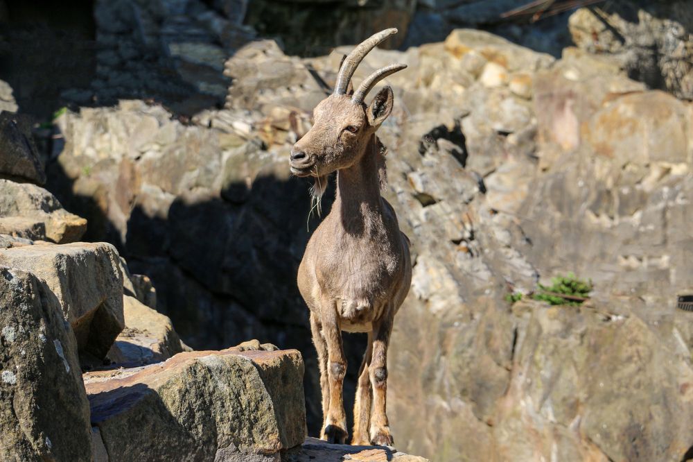 Фотография автора Viaceslavas Bazykas
