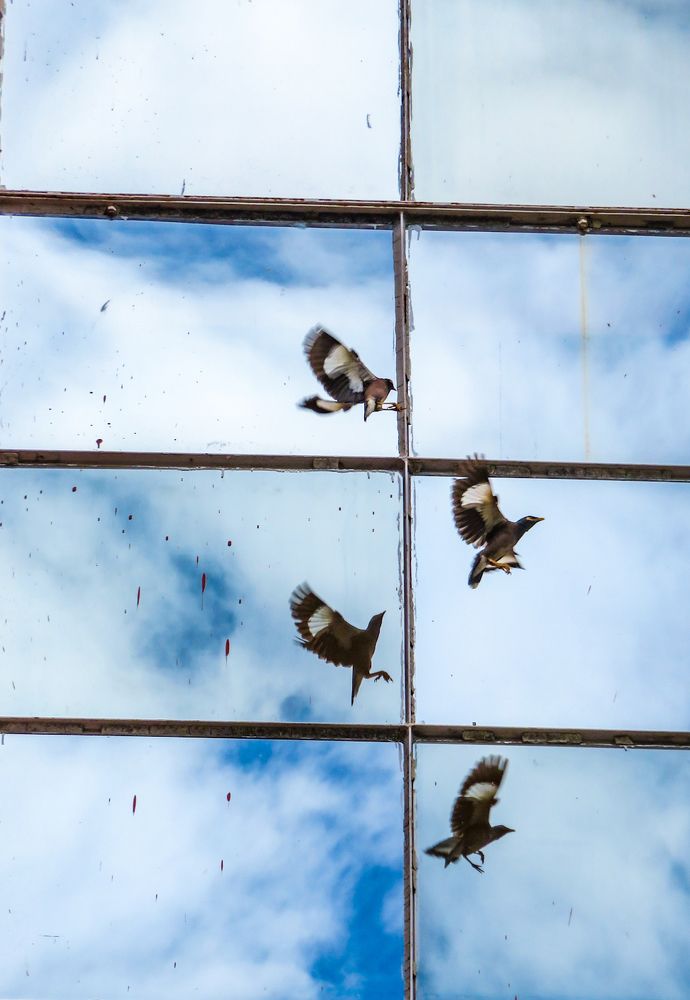 Photograph by Susmita Paul