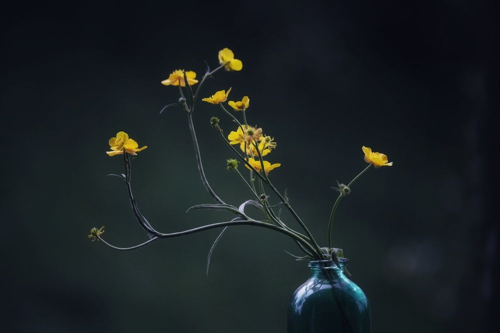 Photograph by Marian Lázaro