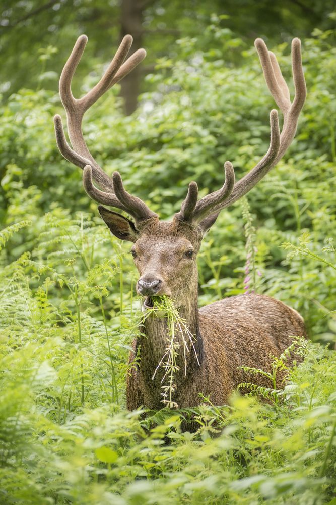 Photograph by DORIN BOTA