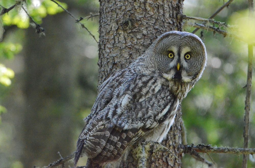 Photograph by Anna Kichapina