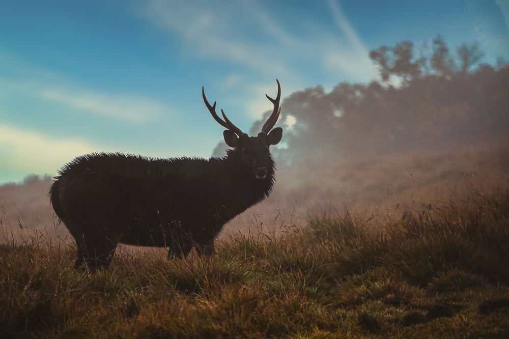 Photograph by Yazir Zubair