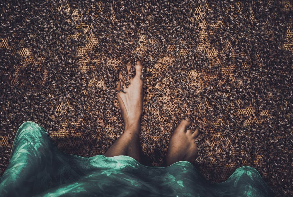 Фотография автора Mariana Melinc